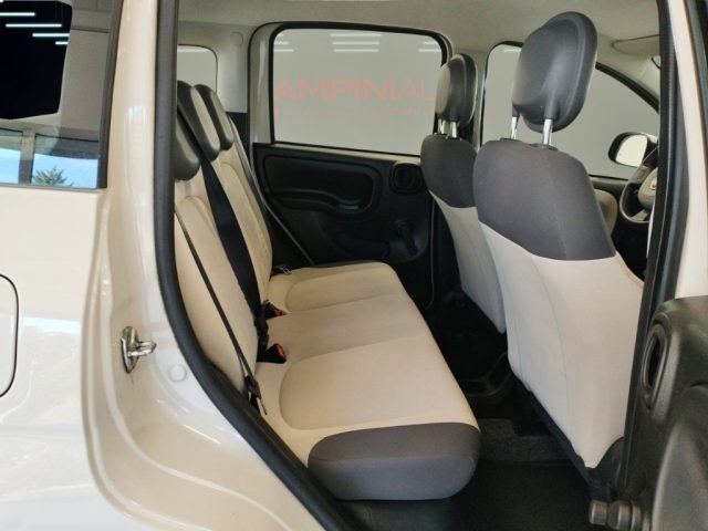 FIAT Panda usata 15
