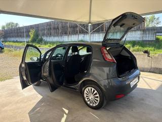 FIAT Punto usata 41