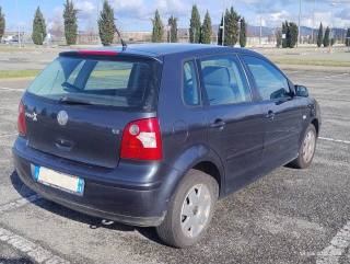 VOLKSWAGEN Polo usata, con Airbag Passeggero