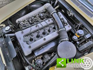 ALFA ROMEO 2600 usata 5