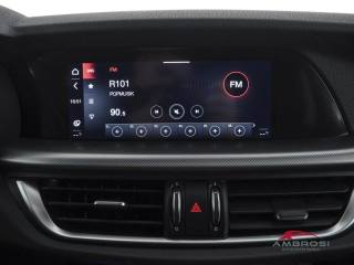 ALFA ROMEO Stelvio usata 13