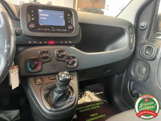 FIAT Panda usata, con Servosterzo