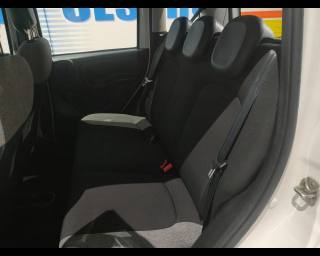 FIAT New Panda usata 18