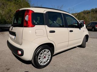 FIAT Panda usata, con Alzacristalli elettrici