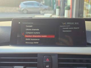 BMW 318 usata, con Autoradio digitale