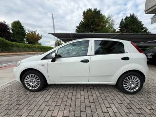 FIAT Punto usata 7