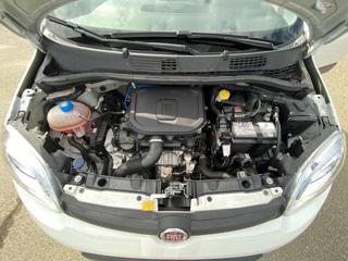 FIAT Panda usata 32