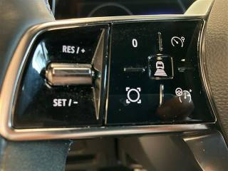 RENAULT Austral usata, con Bracciolo