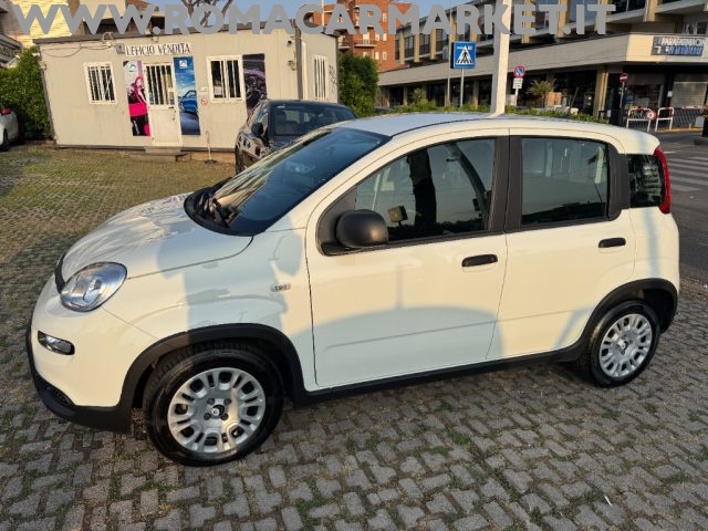 FIAT Panda usata, con Airbag
