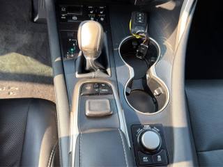 LEXUS RX 450h usata 18