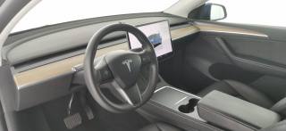 TESLA Model Y usata 63