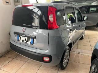 FIAT Panda usata, con Alzacristalli elettrici