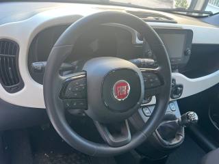 FIAT Pandina usata, con Climatizzatore