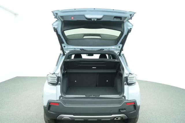 JEEP Avenger usata, con Cronologia tagliandi