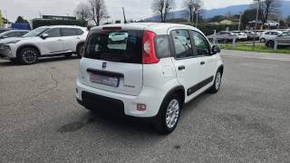FIAT Panda usata, con Antifurto