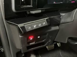 RENAULT Austral usata 24