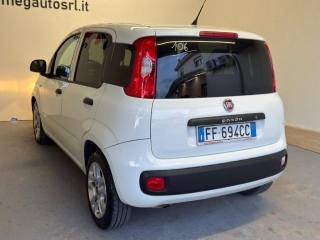FIAT Panda usata 6