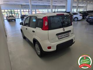 FIAT Panda usata, con Antifurto