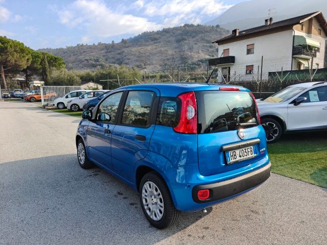 FIAT Panda usata, con Airbag Passeggero