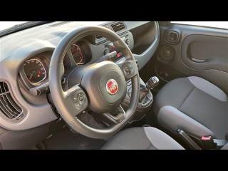FIAT Panda usata 4
