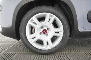 FIAT Panda usata 14