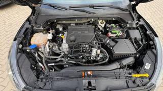 FORD Focus usata 24