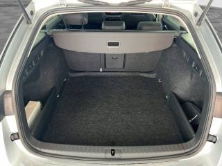 SKODA Octavia usata 12
