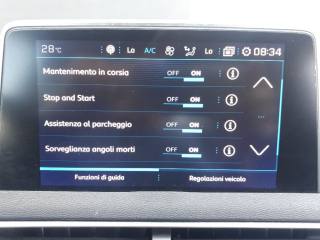 PEUGEOT 3008 usata, con Climatizzatore