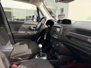 JEEP Renegade usata, con Fendinebbia
