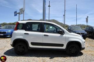 FIAT Panda usata, con Trazione integrale
