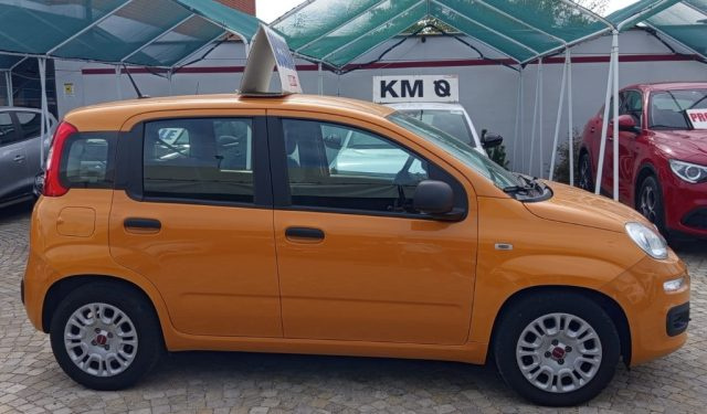 FIAT Panda usata, con Airbag Passeggero