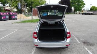 SKODA Octavia usata 125
