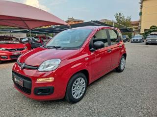FIAT Panda usata, con Airbag Passeggero
