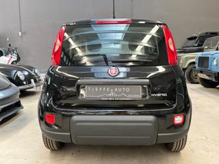 FIAT Panda usata, con Antifurto