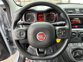 FIAT Panda usata, con Chiusura centralizzata