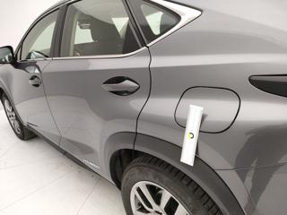 LEXUS NX 300h usata 57