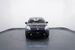 FIAT Punto usata, con Airbag