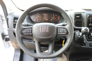 FIAT Ducato usata, con Servosterzo