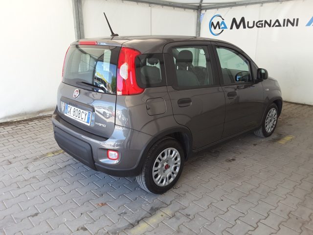 FIAT Panda usata, con USB