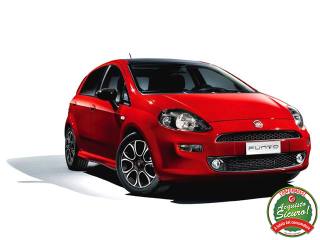 FIAT Punto 1.2 8V 5p. Street *NEOPATENTATI*DISTRIBUZIONE OK*