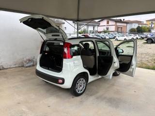 FIAT Panda usata 22