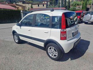 FIAT Panda usata, con Servosterzo