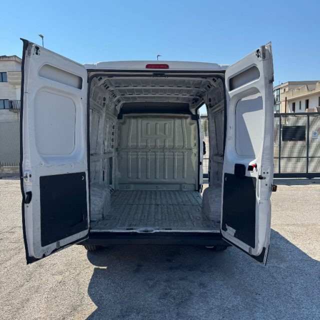 FIAT usata 12