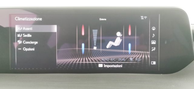 LEXUS UX 250h usata 72