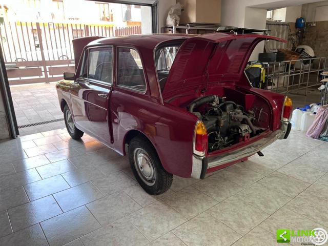 AUTOBIANCHI Bianchina usata 10