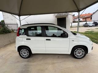 FIAT Panda usata, con Climatizzatore