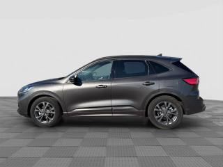 FORD Kuga usata 1