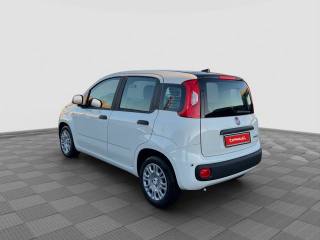 FIAT Panda usata 2
