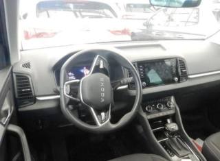 SKODA Karoq usata, con Cruise Control