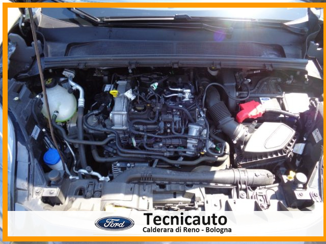 FORD Puma usata, con Bracciolo